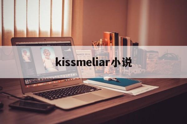 kissmeliar小说(kissme和奇士美是不是一回事)