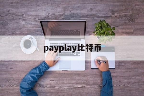 payplay比特币(payoneer比特币)