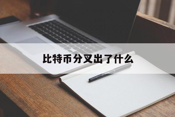 比特币分叉出了什么(比特币的分叉币比特热点)